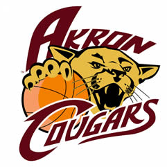 Akron Cougars 2007 Primary Logo iron on transfers for T-shirts